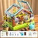 EXBEPE Kids Plant Growing Kit Greenhouse Growing Set with Drip Irrigation System and Grow Light Science Educational DIY Indoor Plant Gardening Toy for Kids