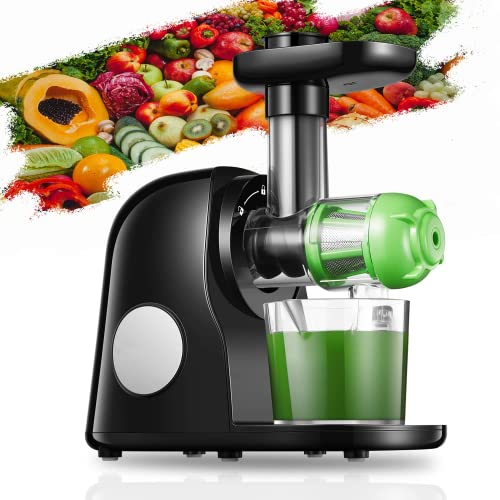 Top 10 Juice Presses of 2023 Best Reviews Guide