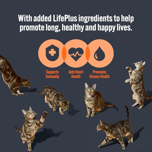 HiLife Adult Wet Cat Food, Mixed Ocean Fish in Jelly Recipes, Complete Cat Food Pouches, 100% Natural & Grain Free, Ocean Fish / Sardine with Tuna (32 x 70g Pouches) - Image 6