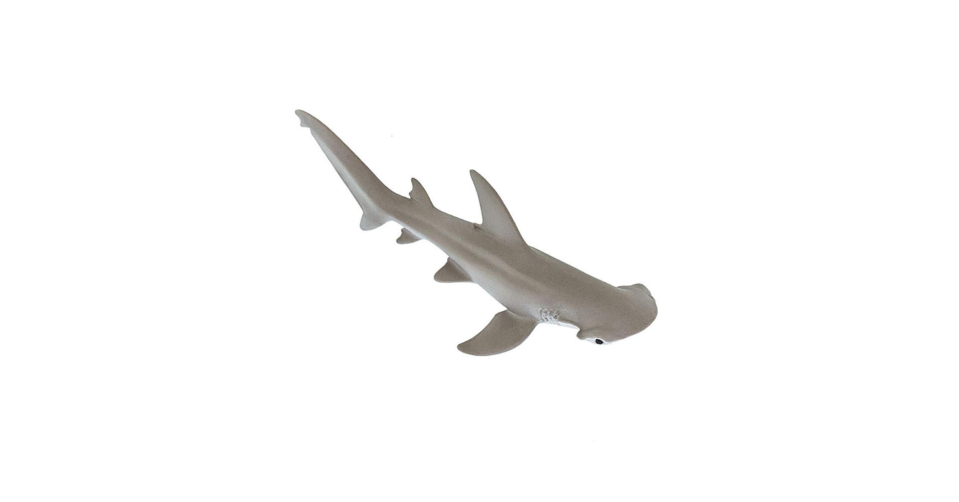 サメ 51ws4O3PrwL.jpg_BO30,255,255,