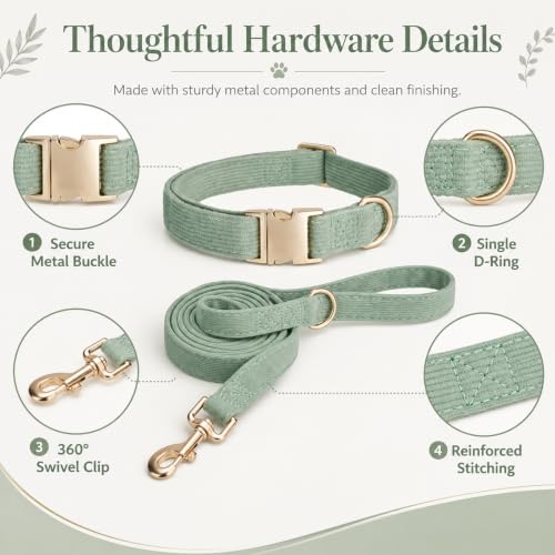 YUDOTE Hundehalsband und Leine Set Klein, Weiche Reizfreie Cord-Halsband-Leine Passende Combo für Den Täglichen Spaziergang, Salbeigrün