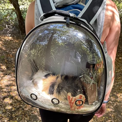 image for WEVONIGU Guinea Pig Backpack Carrier, Bearded Dragon Carrier Backpack 