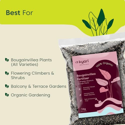 Image of Kyari Bougainvillea Fertilizer 1kg | Plant Food for More Flowers, Bright Colour Blooms & Healthy Vine Growth | Promotes Faster Flowering for Home Garden Plants