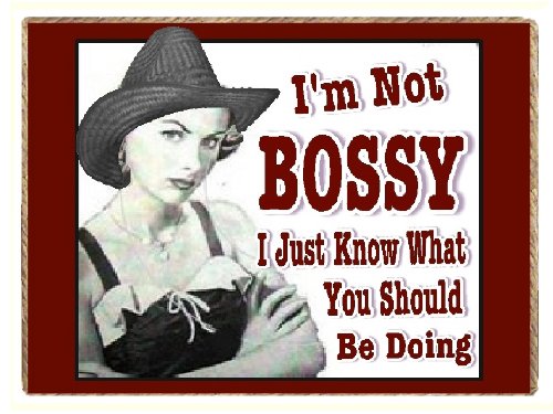 Rocky Mountain Creation Funny Cowgirl I'm Not Bossy Country Western Refrigerator Gift Magnet