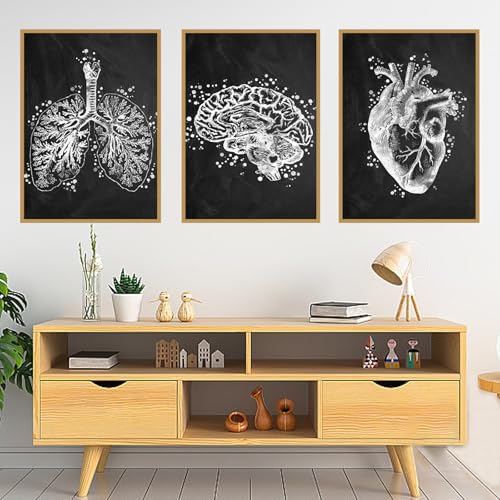 Cœur cerveau affiches d'anatomie abstraites décoration clinique