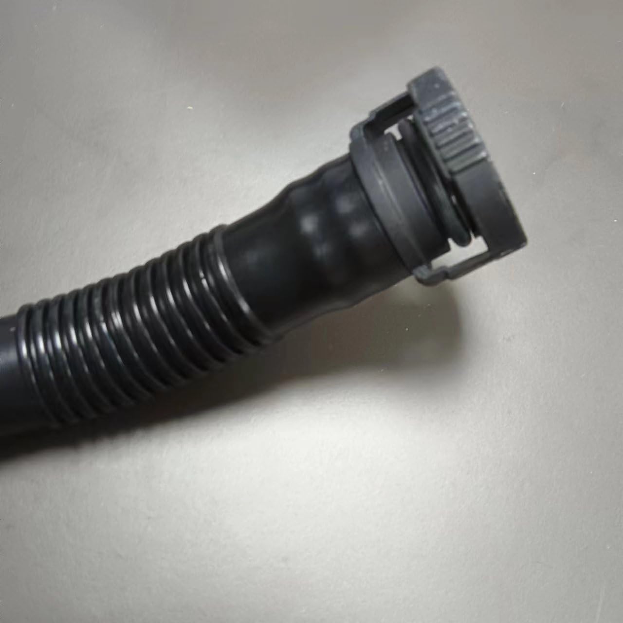 AUTO-PALPAL
