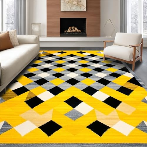 ODIKA Flatwoven High Traffic Area Rug 5x7, Bold Geometric Accent,