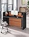 LITTLE TREE 63 Inches Reception Desk, Modern Reception Table with LED Light, Front Counter Desk, Wooden Checkout Counter for Lobbies, Salons, Retail, Home Offices, Reception Room, Black & Brown