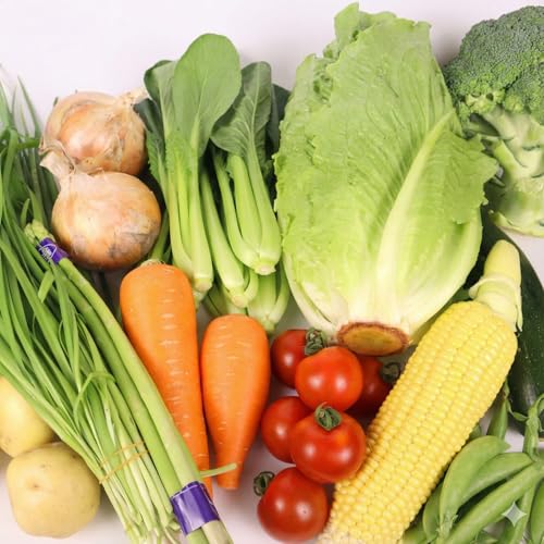 6~7品目 野菜 セット 6~12品目 以上 お野菜 季節 野菜 旬 新鮮 産地直送 詰め合わせ やさい おいしい 自然 セット 美味しい たっぷり 丸新柴本製茶 静岡県 牧之原市