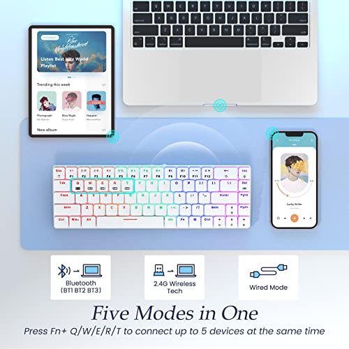 Risophy Rgb Wireless Keyboard,60% Mechanical Gaming Keyboard With Metal Base,2.4G/Type-C/Bluetooth Keyboard With Low Profile Clicky Blue Switches,Programmable 60 Percent Keyboard For Ipad,Pc,Mac,Xbox #TOP2