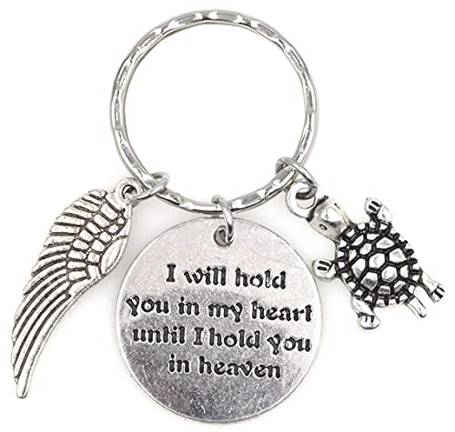 I Will Hold You in My Heart Until I Hold You in Heaven Angel Wing Bereavement Memorial Sympathy Loss of Loved One Reptile Shell Tortoise Galapagos Cute Baby Sea Land Aquatic Turtle Keychain 114V