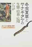 冬虫夏草の科学 冬虫夏草 | 自然のめぐみ「freely」