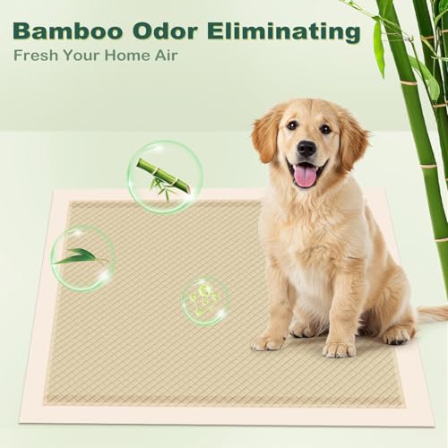Image of MIZOK Puppy Pads Small 22x22 Pee Pads for Dogs Bamboo Odor Eliminating & 6-Layer Absorbent Leak-Proof Dog Pee Pads Potty Training with Adhesive Tabs, Disposable (50 Counts)