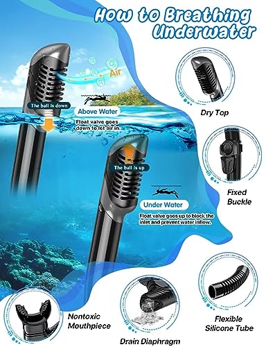 Zenoplige Snorkel Set Adults with Flippers, Snorkel Mask with Adjustable Swim Fins - Image 3