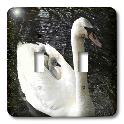 Interrupteur double cygne interrupteur à bascule double décoration - 3