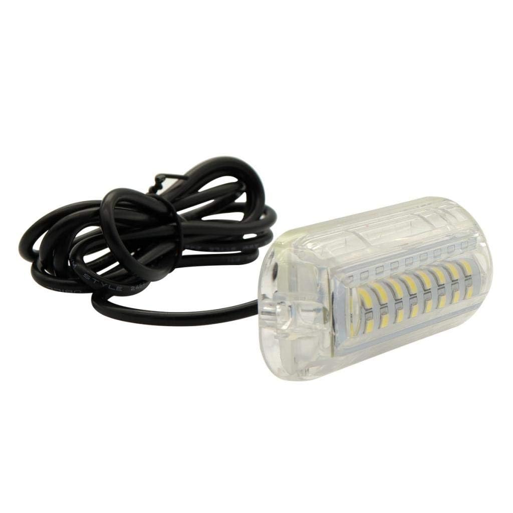 OSCULATI Luce Subacquea a LED Bianco
