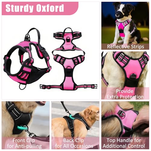 YXFDOYT No-Pull Dog Harness & Leash Set with Accessories (Pink, M) — view 3