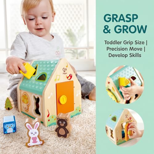 Image of Hape Critter House Shape Sorter