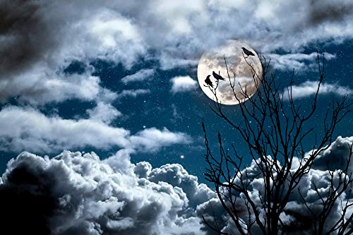 1art1 Gothique Poster Les Trois Corbeaux, Pleine Lune Affiche Reproduction 120x80 cm
