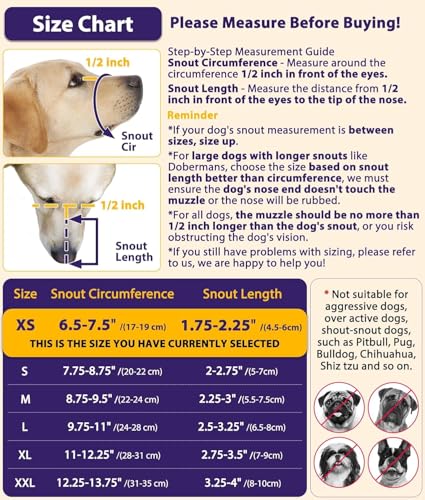 LUCKYPAW Dog Muzzle, Mesh Muzzle for Large Medium Small Dogs Allows Full Pant Drinking Mouth Cover to Prevent Biting Chewing Scavenging Adjustable Breathable (XS, Purple)