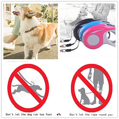 POPETPOP coleira retrátil para cães de estimação, cachorrinho, gato, corda de tração automática (Pre