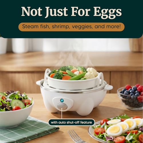 Electric Egg Cooker 7 Capacity