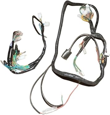 Motorcycle Wire Harness Wiring Assembly for Gy6 150cc Chinese Scooter Moped R5 R9 11 Pole 8 Pole Magneto11 Pole