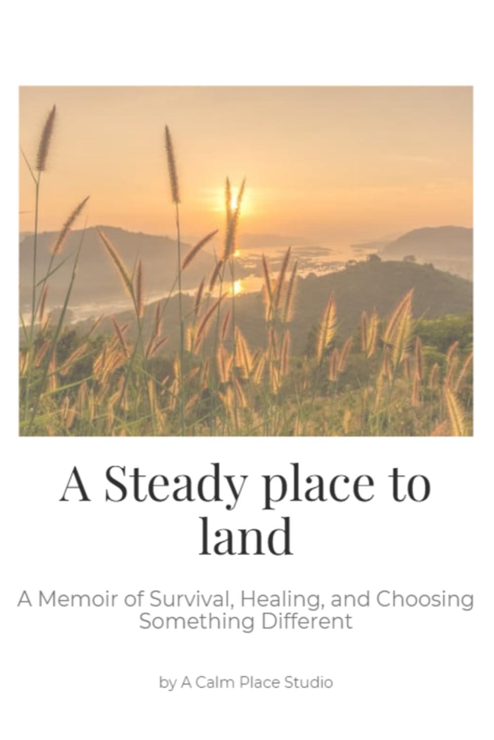 A Steady Place to Land: A Memoir of Survival, Healing, and Choosing Something Different