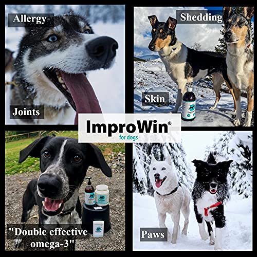ImproWin for Dogs Omega-3 + B-vitamins | 250 ml - Image 5