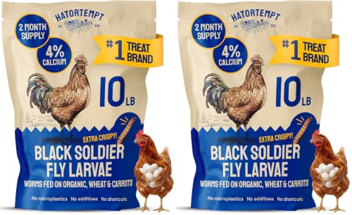 Image of Hatortempt 10lb Black Soldier Fly Larvae for Chickens, Feed for Laying Hens (Pack of 2)