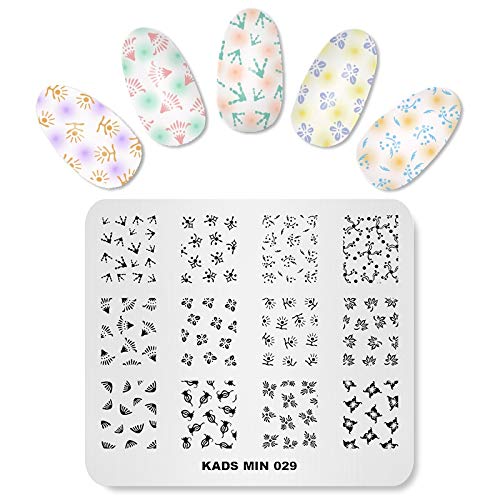 Alexnailart Piastra per timbri per unghie Impronta...