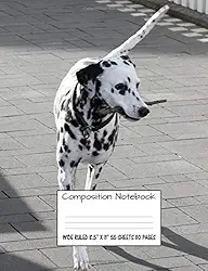 SmartPhone - Fotos im Griff