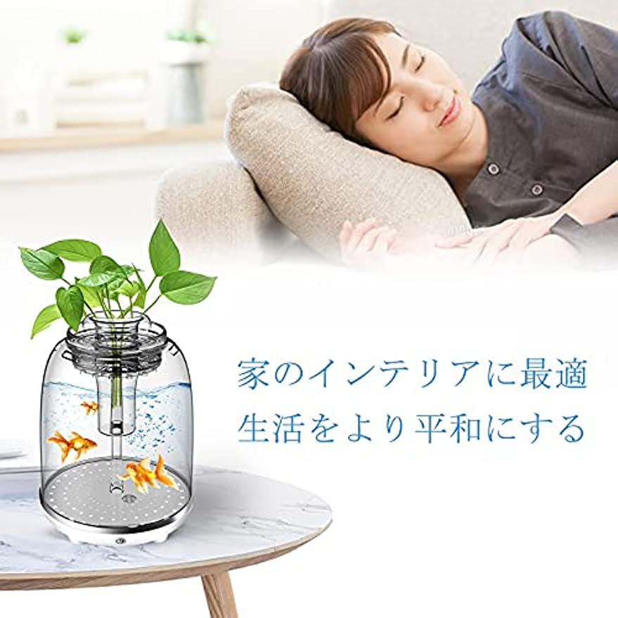 WWW AQUA 水槽 オールインワン アクアリウム ベタ ジオラマ 観賞魚 Amazon | 水槽 オールインワン水槽 アクアリウム インテリア