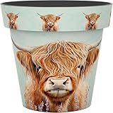 Decorative Flower Pot Indoor Outdoor - Printed Plastic Plant Pot - Wildlife Designs (Butterfly, Bee, Bird, Hedgehog) - Garden Planter for Flowers, Herbs & Houseplants (Highland Cow, 24 Litre)