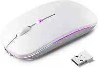 Mouse Sem Fio Recarregável, Ergonômico, com Led RGB, Conexão Dual Bluetooth 5.0/USB 2.4GHz, DPI Ajustável, perfeito para Notebook, Laptop,PC, Desktop, Silencioso (Branco)