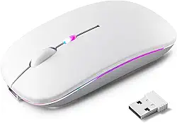Mouse Sem Fio Recarregável, Ergonômico, com Led RGB, Conexão Dual Bluetooth 5.0/USB 2.4GHz, DPI Ajustável, perfeito para Notebook, Laptop,PC, Desktop, Silencioso (Branco)