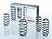 Eibach E10-85-005-02-22 Performance Pro-Kit Springs