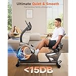 Niceday Recumbent Exercise Bike, Recumbent Bike for Home, Recumbent Stationary Bike 400LBS Weight Capacity, Magnetic Recumbent Bike with Smart APP, LCD Monitor, Heart Rate Handle - Image 4