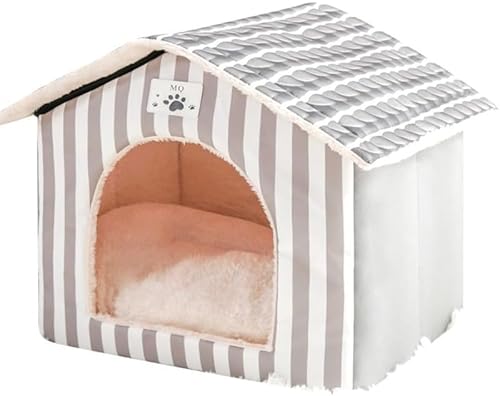 RutexcybgnEX ~p LnEX xxbg g  I[V[YΉ ^ Lp K pxbh