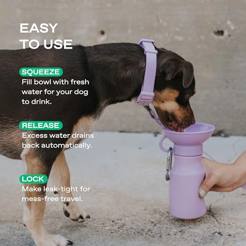 Image of Springer Dog Water Bottle | Portable Travel Drinking Feeder Dispenser for Dogs & Puppies | As Seen on Shark Tank | Leak-Proof Bowl | BPA-Free | Outdoor Walking, Hiking & Travel | 15oz Lilac