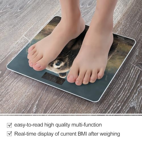 Báscula digital de baño VstaDank con vidrio templado miniatura 5