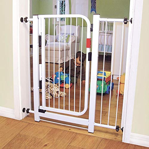 Kiddo Grade Auto Click Única