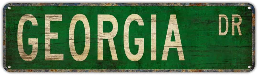 peiyeety Vintage Metal Tin Sign Decorative Wall Art Georgia Dr Themed Street Sign, Rustic Style, Durable Waterproof Rustproof, For Home, State Decor, Travel, Easy To Mount, 4x16 Inch