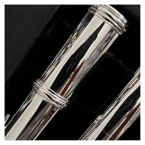 フルートセッ 入門者 フルート 白銅オープニング C キー 17 穴フルート銀メッキ楽器ケース付き