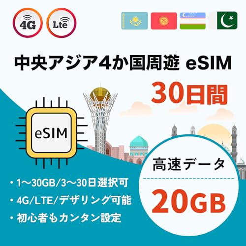 AWA4V eSIM 30 f[^20GB ᑬ pFLMXEJUtX^EpLX^EEYxLX^ f[^ʐMp t (30 20GB)