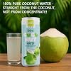 Jugo ALO ALO Sin Pulpa, 100% Coco, 10.8 Oz, Paquete de 12 8