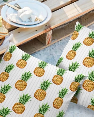 LEOKOTI Pineapple Outdoor Pillow Covers 16