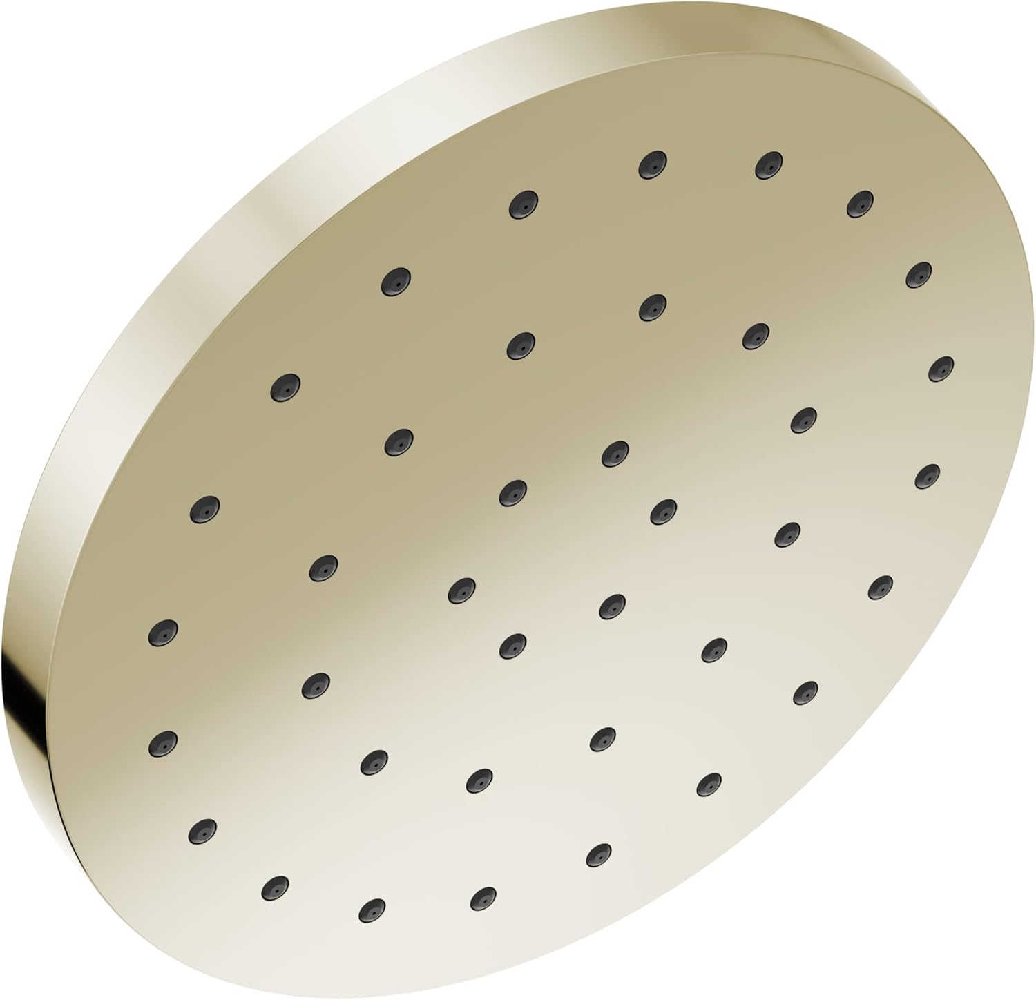 Delta -faucet 52160-PN-PR25 Universal Showering Components Showerhead, Lumicoat Polished Nickel, 2.5 GPM Water Flow