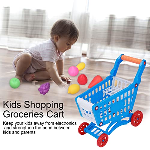 Bordstract Kids Shopping Cart Set, Blue Shopping Day Grocery Cart Includes Grocery Food Fruit, Realistic Kitchen Accessories, Kids Shopping Cart Trolley Play Set For Kids Ages 3 And Up(Blue) #TOP1