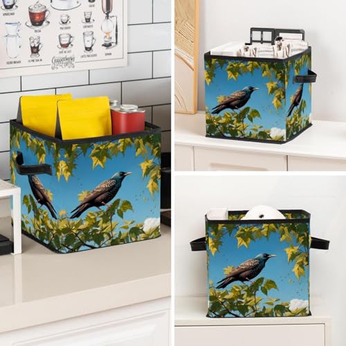 Boîte de rangement pliable étourneau panier gain de place maison - 8
